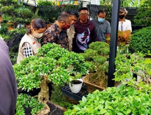 Geliatkan Ekonomi  dengan Batam Flower Festival 2020