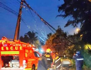 Tiga Hari Diguyur Hujan, Pohon Tumbang, Banjir Datang