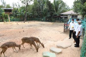 Taman Rusa Berkonsep Mini Zoo