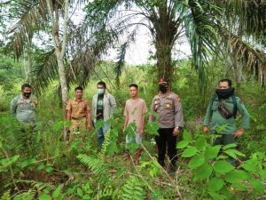 Nenek Simi Bukan Diserang Harimau