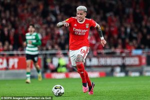 Benfica: Chelsea! Bayar Cash Fernandez