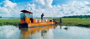 Ekskavator Amphi Babat Eceng Gondok Liar di Waduk Batam