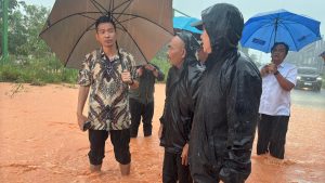 Deputi BP Batam Tinjau Lokasi Langganan Banjir