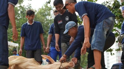 BP Batam Salurkan 33 Hewan Kurban pada Idul Adha 1447 H, Wujud Kepedulian dan Semangat Kebersamaan